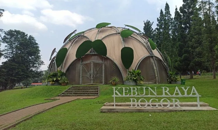 Wisata Edukatif: Kebun Binatang, Museum, atau Kebun Raya